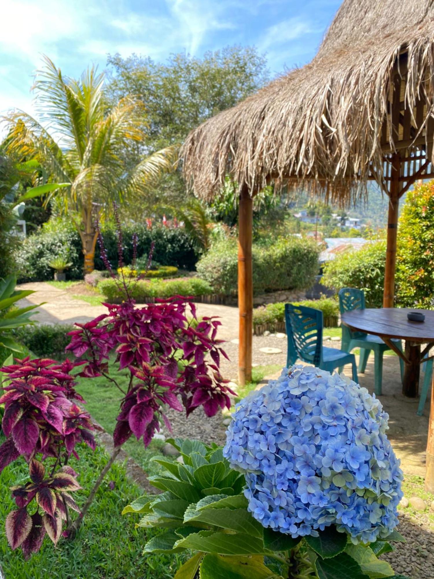 Mahoni Guest House Kelimutu Εξωτερικό φωτογραφία